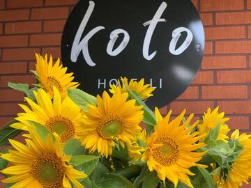 Фотографии Отель Koto Hotel Pihtipudas г. Пихтипудас (Финляндия) №1 Фото Отель Koto Hotel Pihtipudas г. Пихтипудас 1